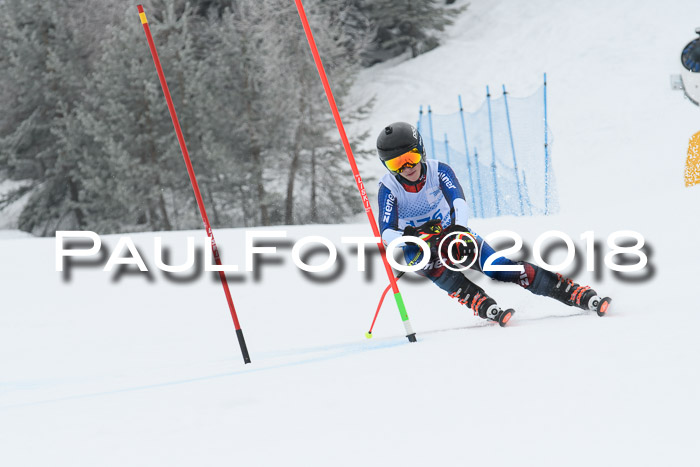 20. SVM Regionalcup-Finale 2018, Kinder, Schüler, Jugend, Erwachsene + Siegerehrungen, 18.03.2018