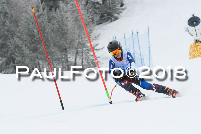 20. SVM Regionalcup-Finale 2018, Kinder, Schüler, Jugend, Erwachsene + Siegerehrungen, 18.03.2018