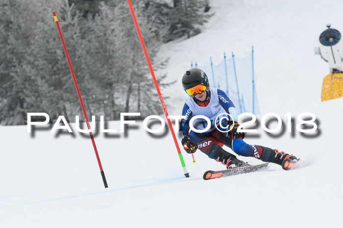 20. SVM Regionalcup-Finale 2018, Kinder, Schüler, Jugend, Erwachsene + Siegerehrungen, 18.03.2018