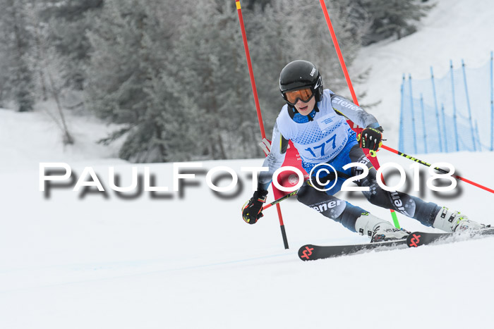 20. SVM Regionalcup-Finale 2018, Kinder, Schüler, Jugend, Erwachsene + Siegerehrungen, 18.03.2018