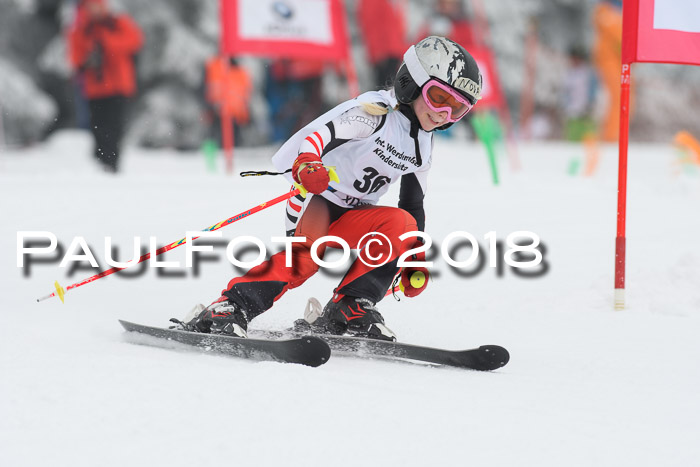 Werdenfelser Kinderskitag, Bambini +Kinder JG 2007, 18.03.2018