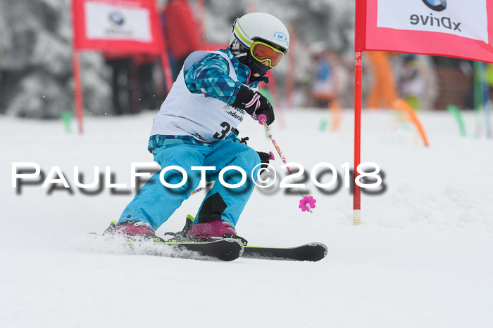 Werdenfelser Kinderskitag, Bambini +Kinder JG 2007, 18.03.2018