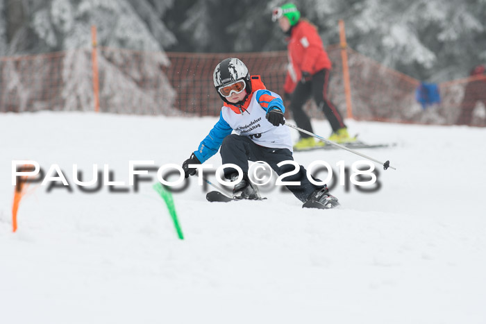 Werdenfelser Kinderskitag, Bambini +Kinder JG 2007, 18.03.2018