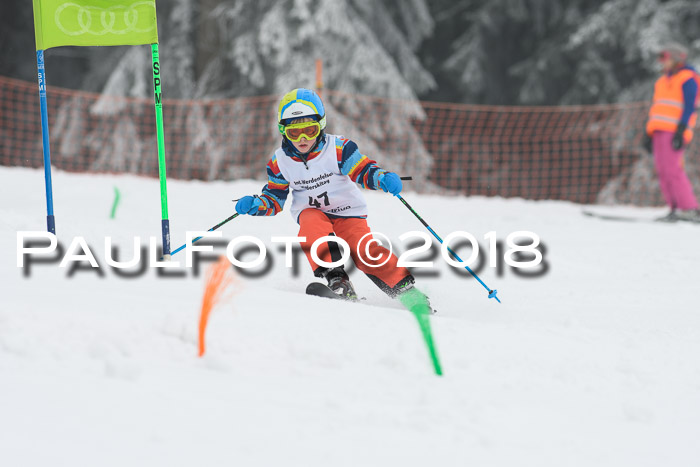 Werdenfelser Kinderskitag, Bambini +Kinder JG 2007, 18.03.2018