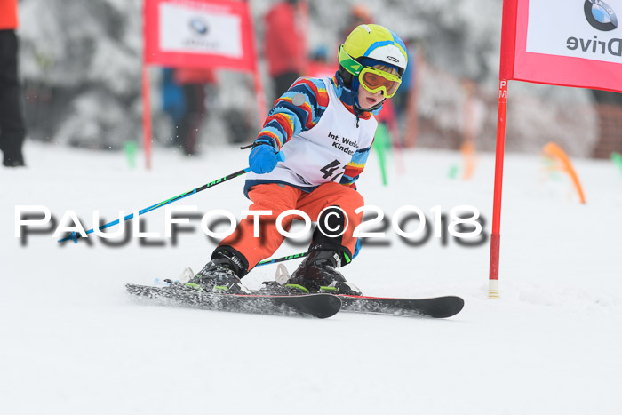 Werdenfelser Kinderskitag, Bambini +Kinder JG 2007, 18.03.2018