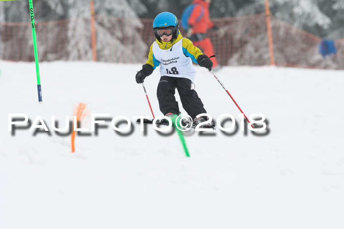 Werdenfelser Kinderskitag, Bambini +Kinder JG 2007, 18.03.2018