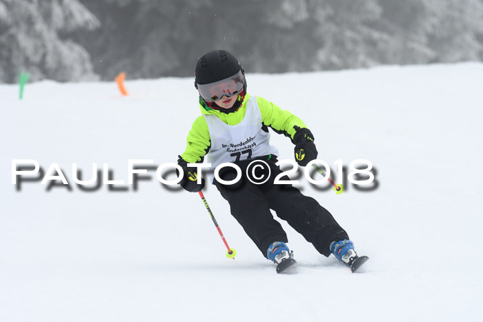 Werdenfelser Kinderskitag, Bambini +Kinder JG 2007, 18.03.2018