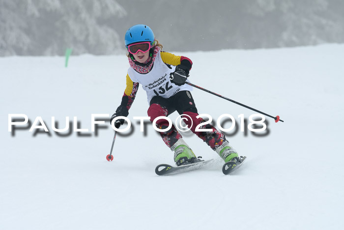 Werdenfelser Kinderskitag, Bambini +Kinder JG 2007, 18.03.2018