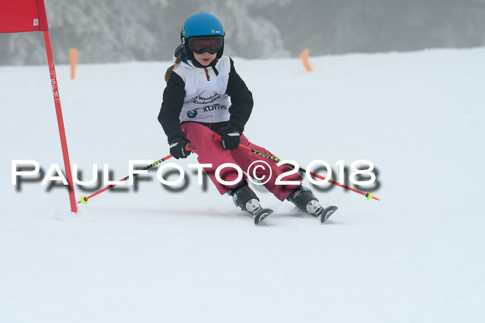 Werdenfelser Kinderskitag, Bambini +Kinder JG 2007, 18.03.2018