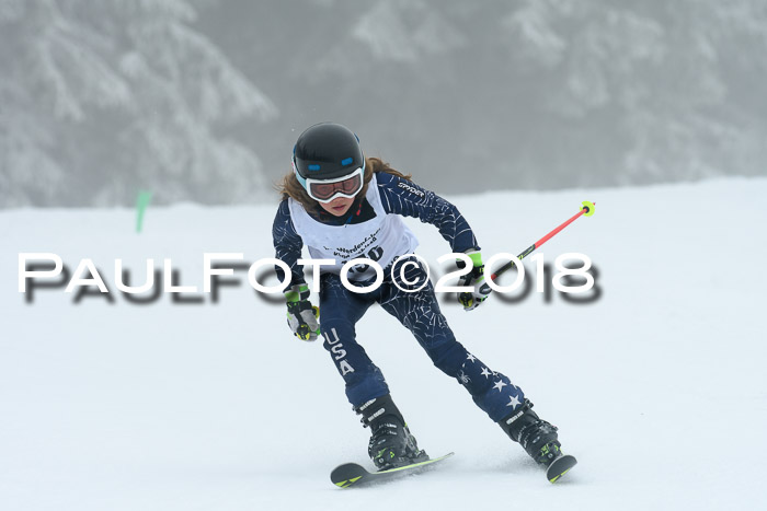 Werdenfelser Kinderskitag, Bambini +Kinder JG 2007, 18.03.2018