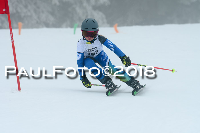 Werdenfelser Kinderskitag, Bambini +Kinder JG 2007, 18.03.2018