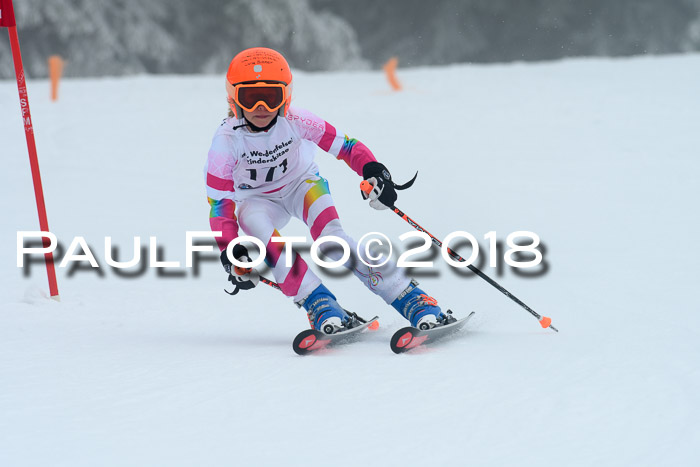 Werdenfelser Kinderskitag, Bambini +Kinder JG 2007, 18.03.2018