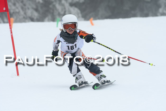 Werdenfelser Kinderskitag, Bambini +Kinder JG 2007, 18.03.2018