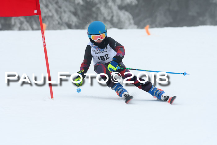 Werdenfelser Kinderskitag, Bambini +Kinder JG 2007, 18.03.2018