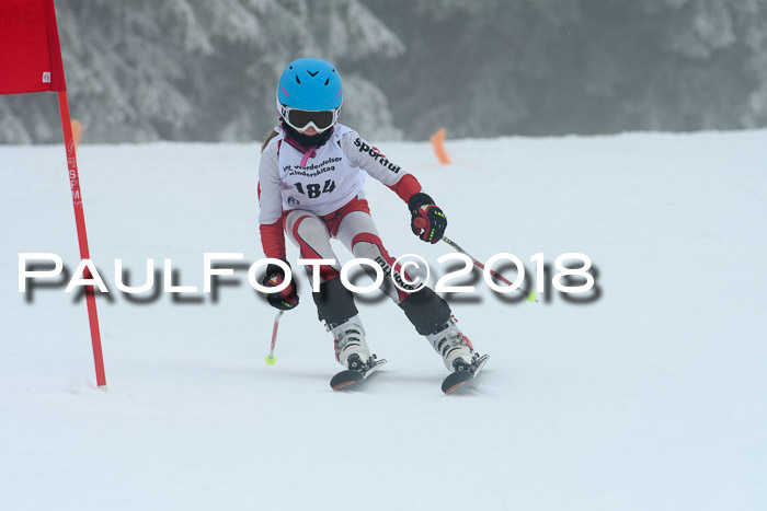 Werdenfelser Kinderskitag, Bambini +Kinder JG 2007, 18.03.2018