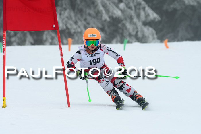 Werdenfelser Kinderskitag, Bambini +Kinder JG 2007, 18.03.2018