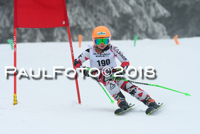 Werdenfelser Kinderskitag, Bambini +Kinder JG 2007, 18.03.2018