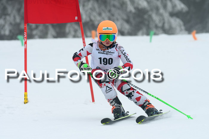 Werdenfelser Kinderskitag, Bambini +Kinder JG 2007, 18.03.2018