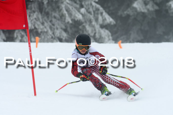 Werdenfelser Kinderskitag, Bambini +Kinder JG 2007, 18.03.2018