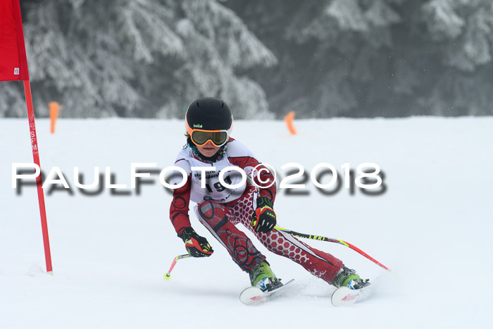 Werdenfelser Kinderskitag, Bambini +Kinder JG 2007, 18.03.2018