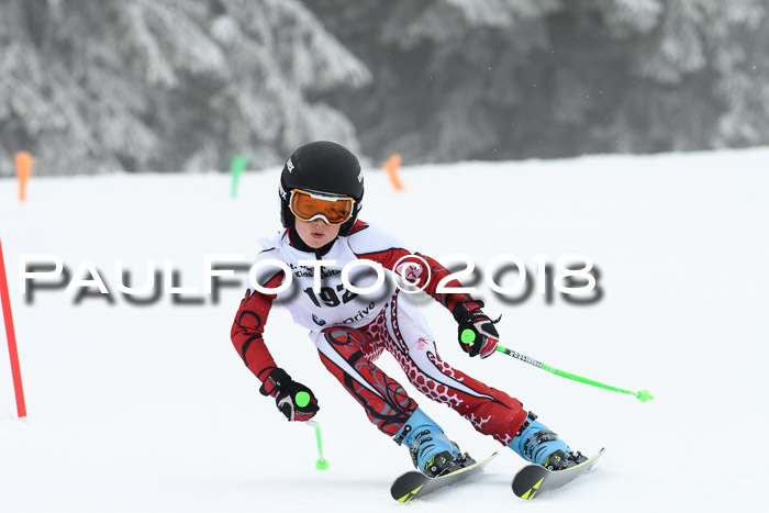 Werdenfelser Kinderskitag, Bambini +Kinder JG 2007, 18.03.2018