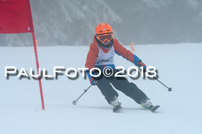 Werdenfelser Kinderskitag, Bambini +Kinder JG 2007, 18.03.2018