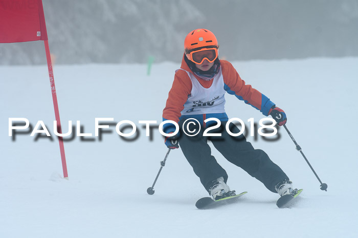 Werdenfelser Kinderskitag, Bambini +Kinder JG 2007, 18.03.2018