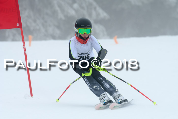 Werdenfelser Kinderskitag, Bambini +Kinder JG 2007, 18.03.2018