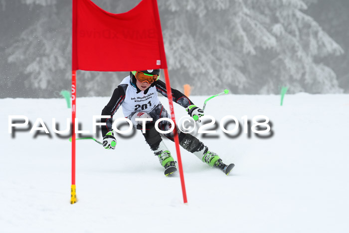 Werdenfelser Kinderskitag, Bambini +Kinder JG 2007, 18.03.2018