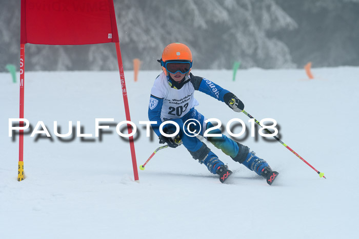 Werdenfelser Kinderskitag, Bambini +Kinder JG 2007, 18.03.2018