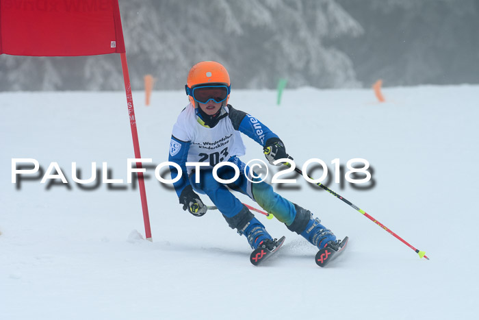 Werdenfelser Kinderskitag, Bambini +Kinder JG 2007, 18.03.2018