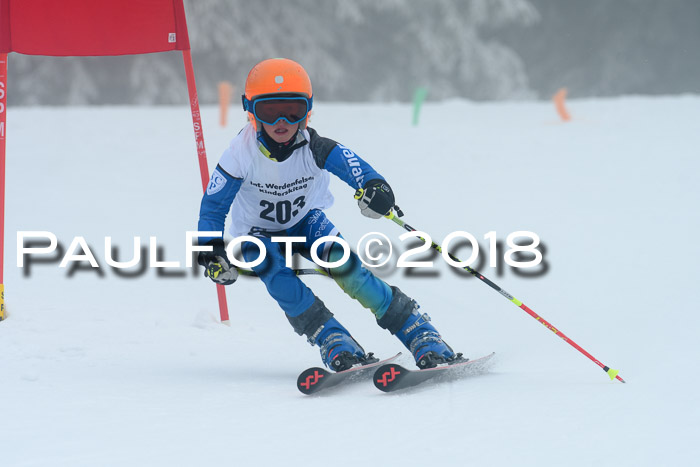 Werdenfelser Kinderskitag, Bambini +Kinder JG 2007, 18.03.2018