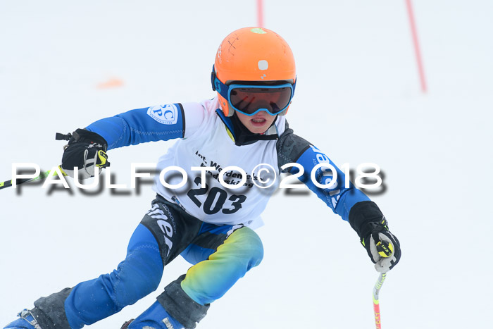 Werdenfelser Kinderskitag, Bambini +Kinder JG 2007, 18.03.2018