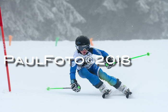 Werdenfelser Kinderskitag, Bambini +Kinder JG 2007, 18.03.2018