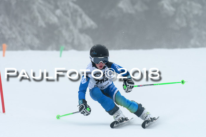 Werdenfelser Kinderskitag, Bambini +Kinder JG 2007, 18.03.2018