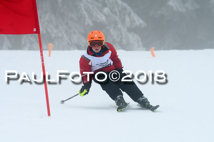 Werdenfelser Kinderskitag, Bambini +Kinder JG 2007, 18.03.2018