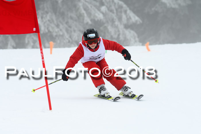 Werdenfelser Kinderskitag, Bambini +Kinder JG 2007, 18.03.2018