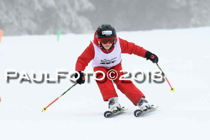 Werdenfelser Kinderskitag, Bambini +Kinder JG 2007, 18.03.2018