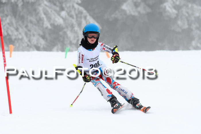 Werdenfelser Kinderskitag, Bambini +Kinder JG 2007, 18.03.2018