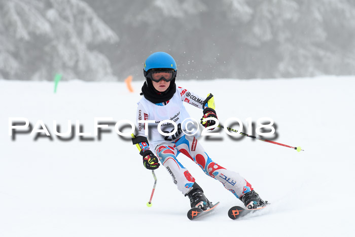 Werdenfelser Kinderskitag, Bambini +Kinder JG 2007, 18.03.2018