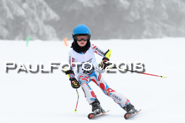 Werdenfelser Kinderskitag, Bambini +Kinder JG 2007, 18.03.2018