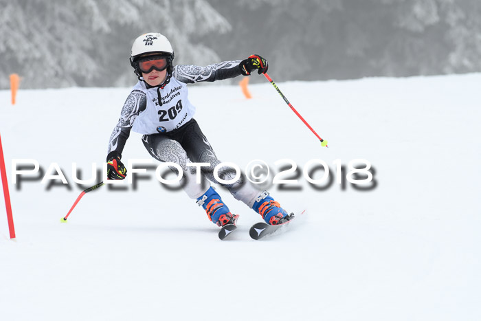 Werdenfelser Kinderskitag, Bambini +Kinder JG 2007, 18.03.2018