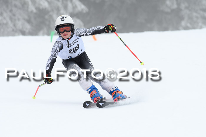 Werdenfelser Kinderskitag, Bambini +Kinder JG 2007, 18.03.2018