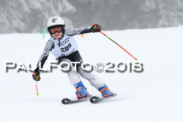 Werdenfelser Kinderskitag, Bambini +Kinder JG 2007, 18.03.2018