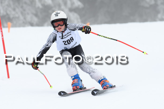 Werdenfelser Kinderskitag, Bambini +Kinder JG 2007, 18.03.2018