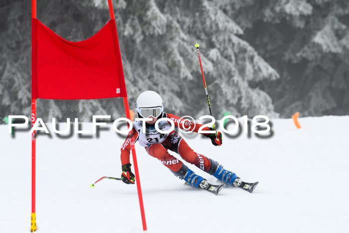 Werdenfelser Kinderskitag, Bambini +Kinder JG 2007, 18.03.2018