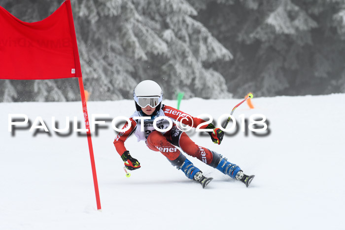 Werdenfelser Kinderskitag, Bambini +Kinder JG 2007, 18.03.2018