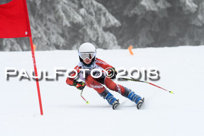 Werdenfelser Kinderskitag, Bambini +Kinder JG 2007, 18.03.2018