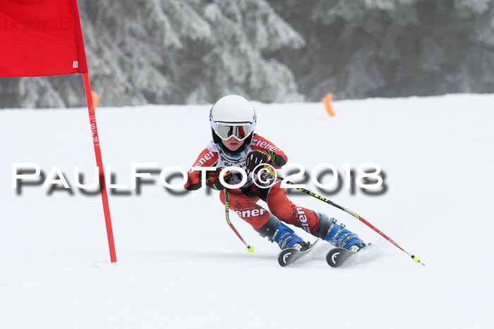 Werdenfelser Kinderskitag, Bambini +Kinder JG 2007, 18.03.2018