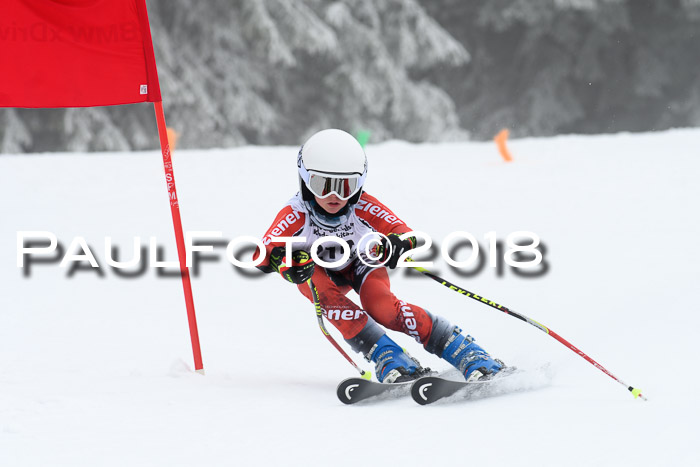 Werdenfelser Kinderskitag, Bambini +Kinder JG 2007, 18.03.2018